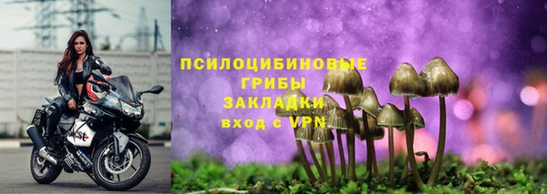 прущая мука Алзамай