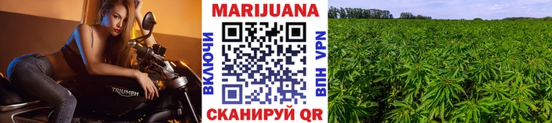 Канабис семена  blacksprut рабочий сайт  Миньяр 